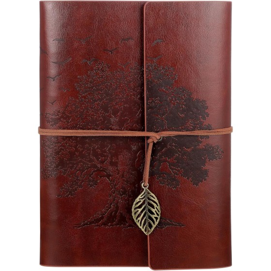 Hapric Leather Notebook Journal A5, Leather Cover 80 Sheets 100gsm Paper - Coil Bound Diary Travel Journal for Women Men Teenager, Accounting Pad for Work Study Meeting (Reddish-brown)